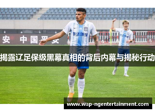 揭露辽足保级黑幕真相的背后内幕与揭秘行动