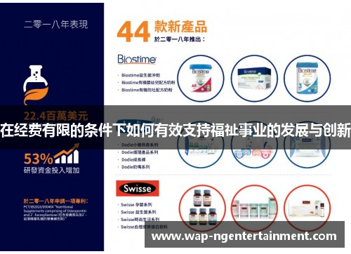 在经费有限的条件下如何有效支持福祉事业的发展与创新