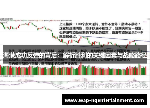 海港成功反弹的背后：解析胜利的关键因素与战略路径