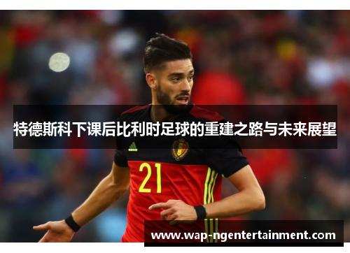 特德斯科下课后比利时足球的重建之路与未来展望