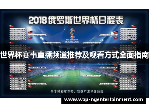 世界杯赛事直播频道推荐及观看方式全面指南