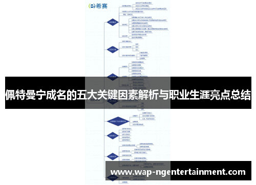 佩特曼宁成名的五大关键因素解析与职业生涯亮点总结