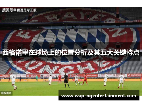西格诺里在球场上的位置分析及其五大关键特点
