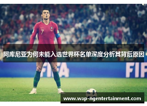 阿库尼亚为何未能入选世界杯名单深度分析其背后原因
