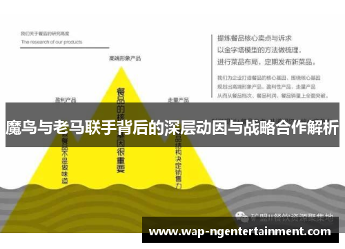 魔鸟与老马联手背后的深层动因与战略合作解析 魔鸟与老马联手背后的深层动因与战略合作解析