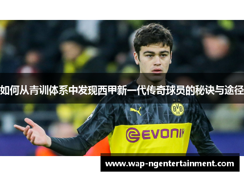 如何从青训体系中发现西甲新一代传奇球员的秘诀与途径
