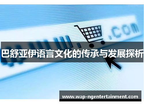 巴舒亚伊语言文化的传承与发展探析