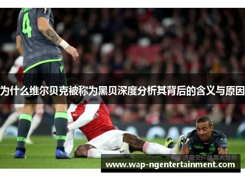 为什么维尔贝克被称为黑贝深度分析其背后的含义与原因