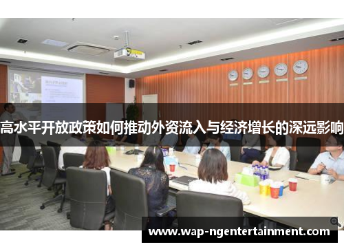高水平开放政策如何推动外资流入与经济增长的深远影响