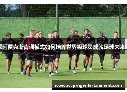 阿贾克斯青训模式如何培养世界级球员成就足球未来