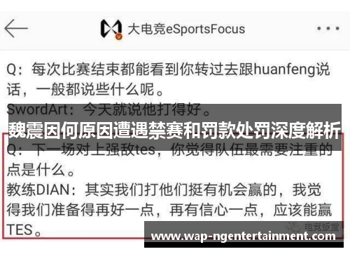 魏震因何原因遭遇禁赛和罚款处罚深度解析